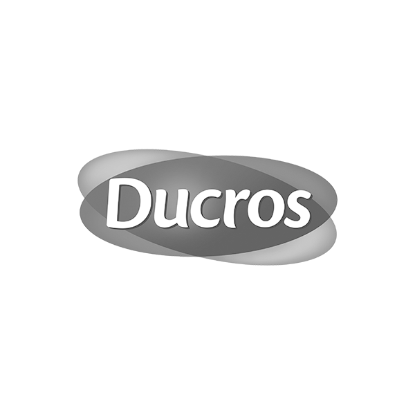 Ducros logo